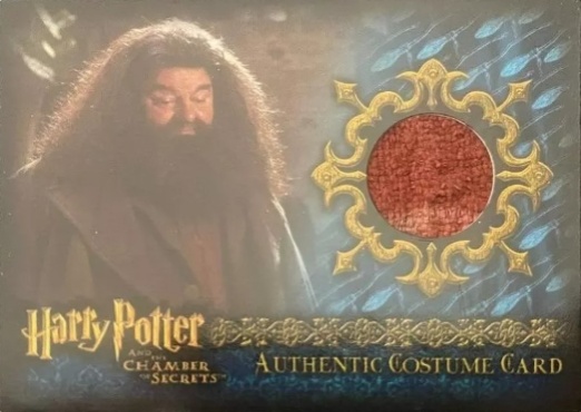 C14 - Rubeus Hagrid's Shirt