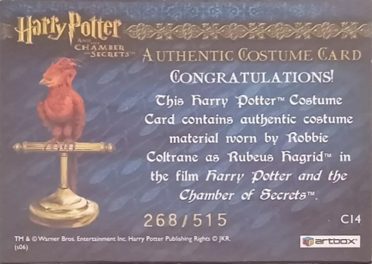 C14 - Rubeus Hagrid's Shirt - Back