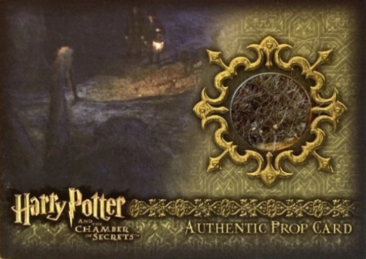 P8 - Aragog's Legs