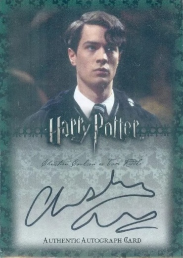 Christian Coulson as Tom Riddle