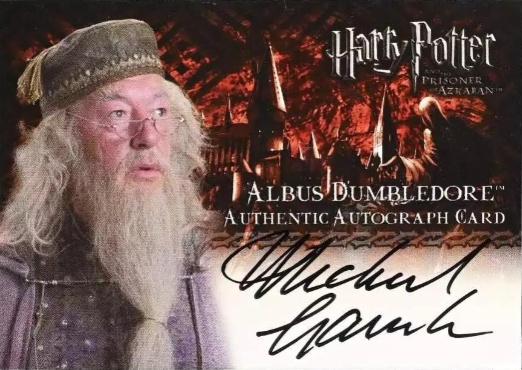 Michael Gambon as Albus Dumbledore - Front