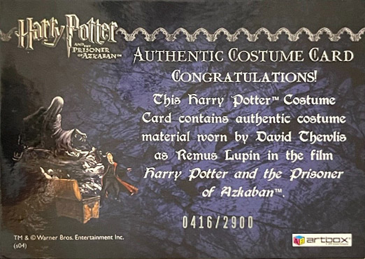 Remus Lupin's Jacket - Back