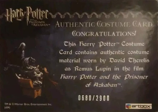 Remus Lupin's Jacket - Back