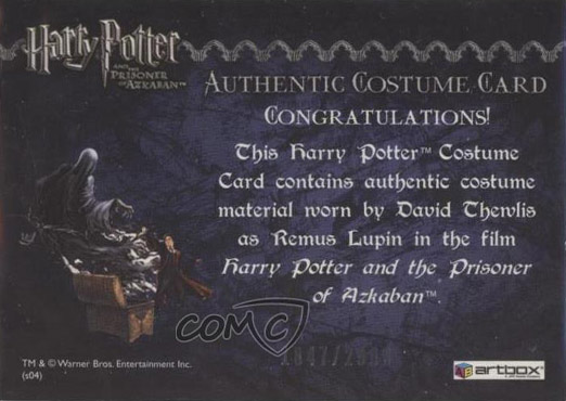 Remus Lupin's Jacket - Back