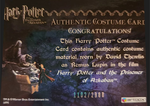 Remus Lupin's Jacket - Back