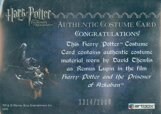 Remus Lupin's Jacket - Back