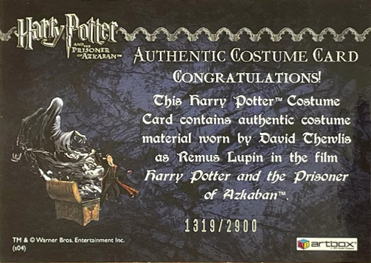 Remus Lupin's Jacket - Back