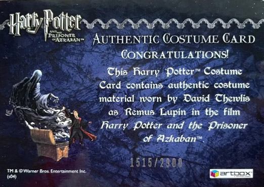 Remus Lupin's Jacket - Back
