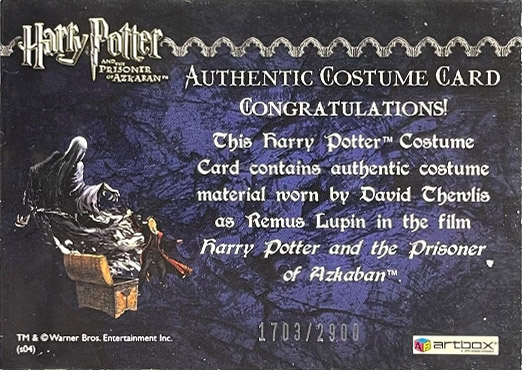 Remus Lupin's Jacket - Back