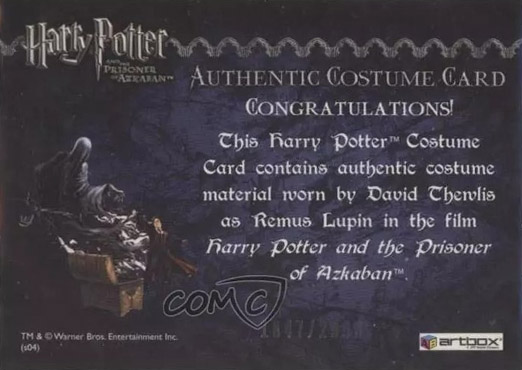 Remus Lupin's Jacket - Back