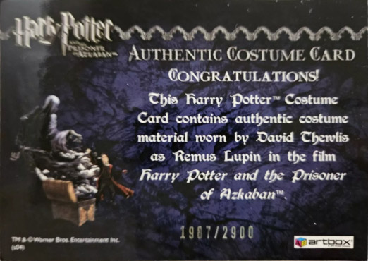 Remus Lupin's Jacket - Back