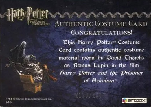 Remus Lupin's Jacket - Back