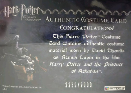 Remus Lupin's Jacket - Back