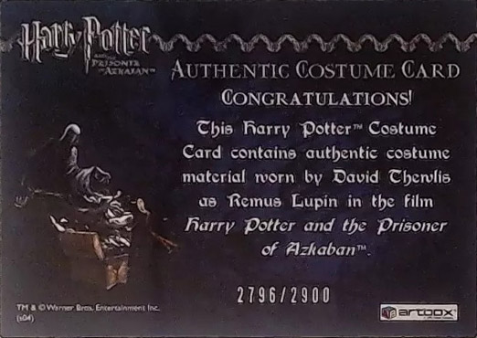 Remus Lupin's Jacket - Back