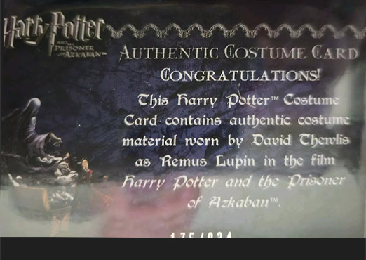 Remus Lupin's Shirt - Back