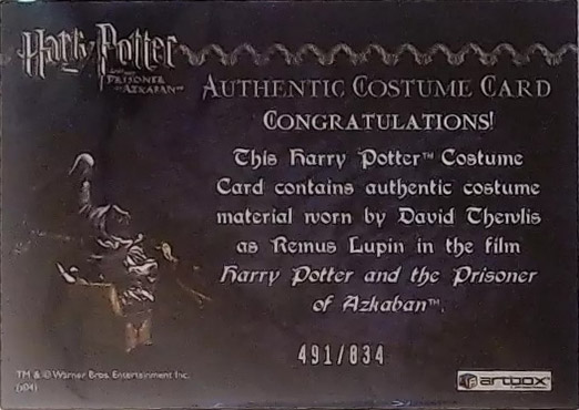 Remus Lupin's Shirt - Back