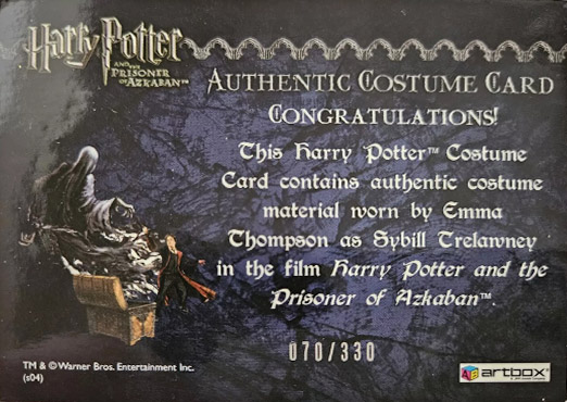 Sybil Trelawney's Grey Top and Dress - Back