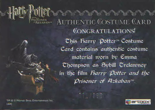 Sybil Trelawney's Grey Top and Dress - Back