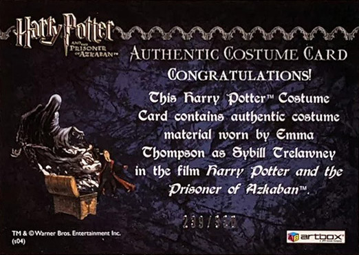 Sybil Trelawney's Grey Top and Dress - Back