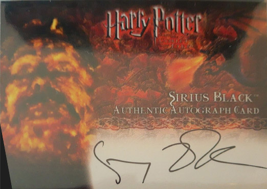 Gary Oldman as Sirius Black