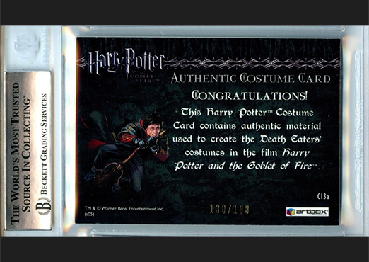 C13a - Death Eater Robes - Back