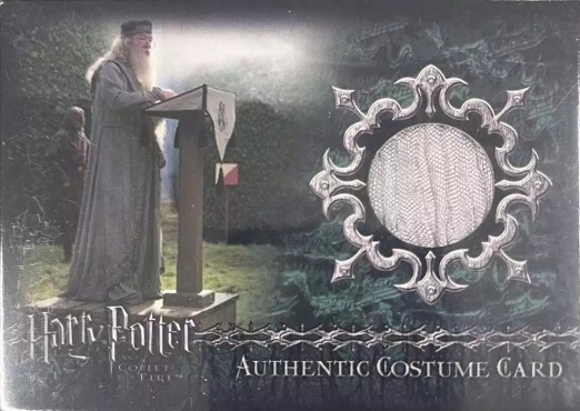 TF1 - Dumbledore's Robes - Front
