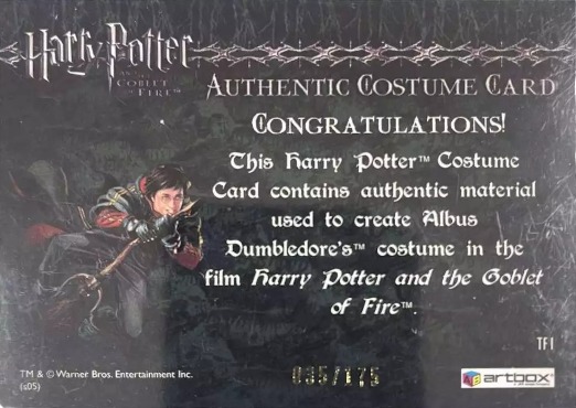 TF1 - Dumbledore's Robes - Back