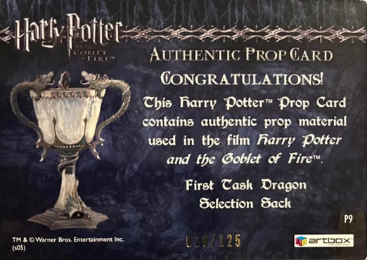 P9 - First Task Dragon Selection Sack - Back