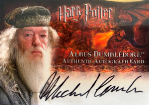 Michael Gambon as Albus Dumbledore - Front