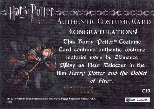 C10 - Fleur Delacour's First Task Costume - Back