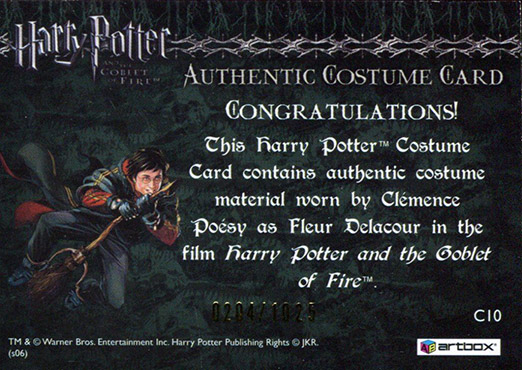 C10 - Fleur Delacour's First Task Costume - Back