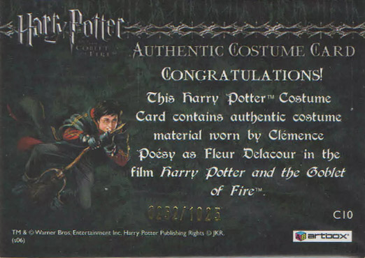 C10 - Fleur Delacour's First Task Costume - Back