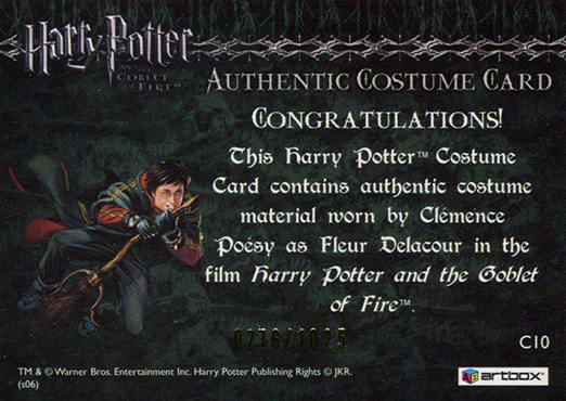 C10 - Fleur Delacour's First Task Costume - Back