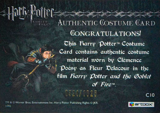 C10 - Fleur Delacour's First Task Costume - Back