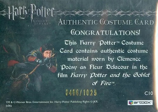 C10 - Fleur Delacour's First Task Costume - Back