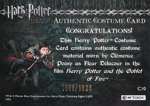 C10 - Fleur Delacour's First Task Costume - Back