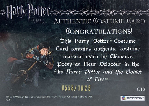 C10 - Fleur Delacour's First Task Costume - Back