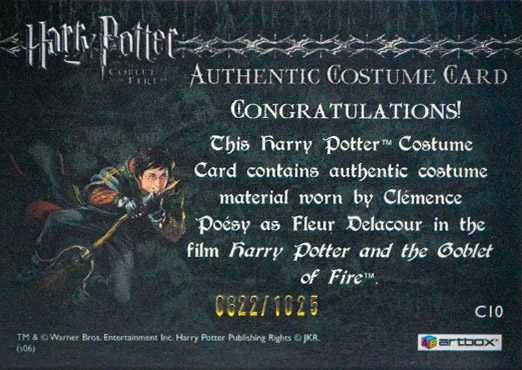 C10 - Fleur Delacour's First Task Costume - Back