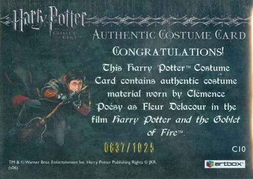 C10 - Fleur Delacour's First Task Costume - Back
