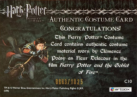 C10 - Fleur Delacour's First Task Costume - Back