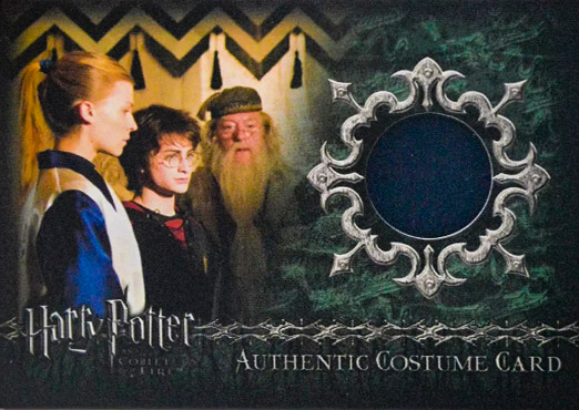C10 - Fleur Delacour's First Task Costume - Front