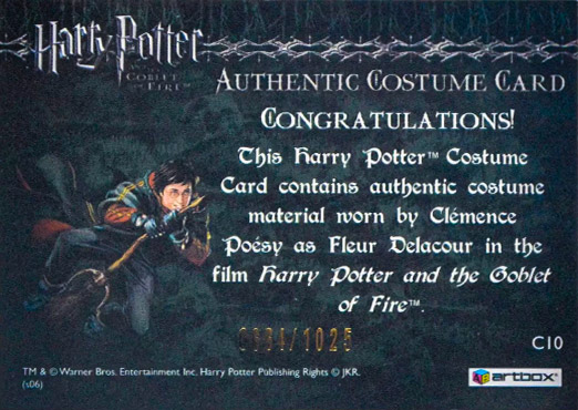 C10 - Fleur Delacour's First Task Costume - Back