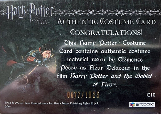 C10 - Fleur Delacour's First Task Costume - Back