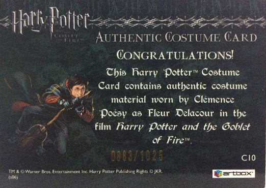 C10 - Fleur Delacour's First Task Costume - Back