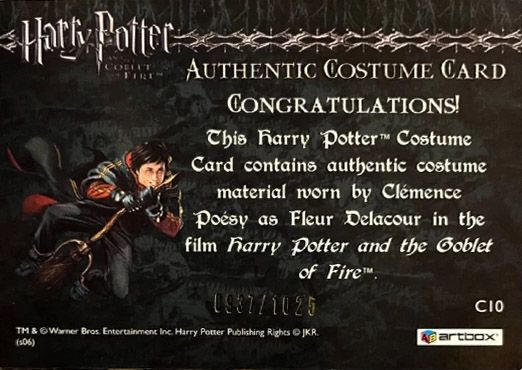 C10 - Fleur Delacour's First Task Costume - Back