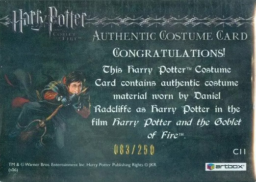C11 - Harry Potter's Third Task Costume - Back