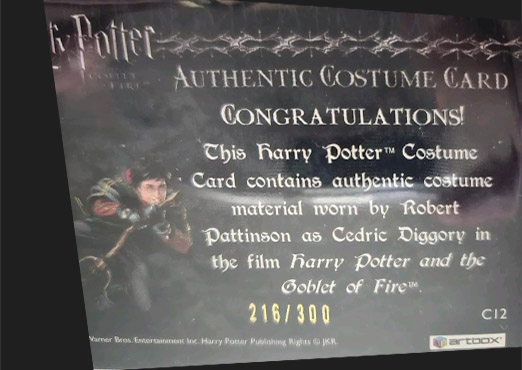 C12 - Cedrick Diggory's Third Task Costume - Back