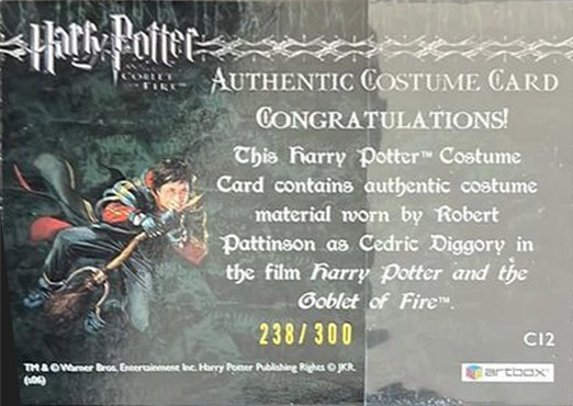 C12 - Cedrick Diggory's Third Task Costume - Back