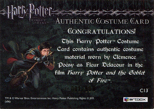 C13 - Fleur Delacour's Third Task Costume - Back