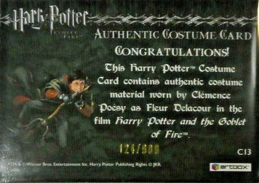 C13 - Fleur Delacour's Third Task Costume - Back